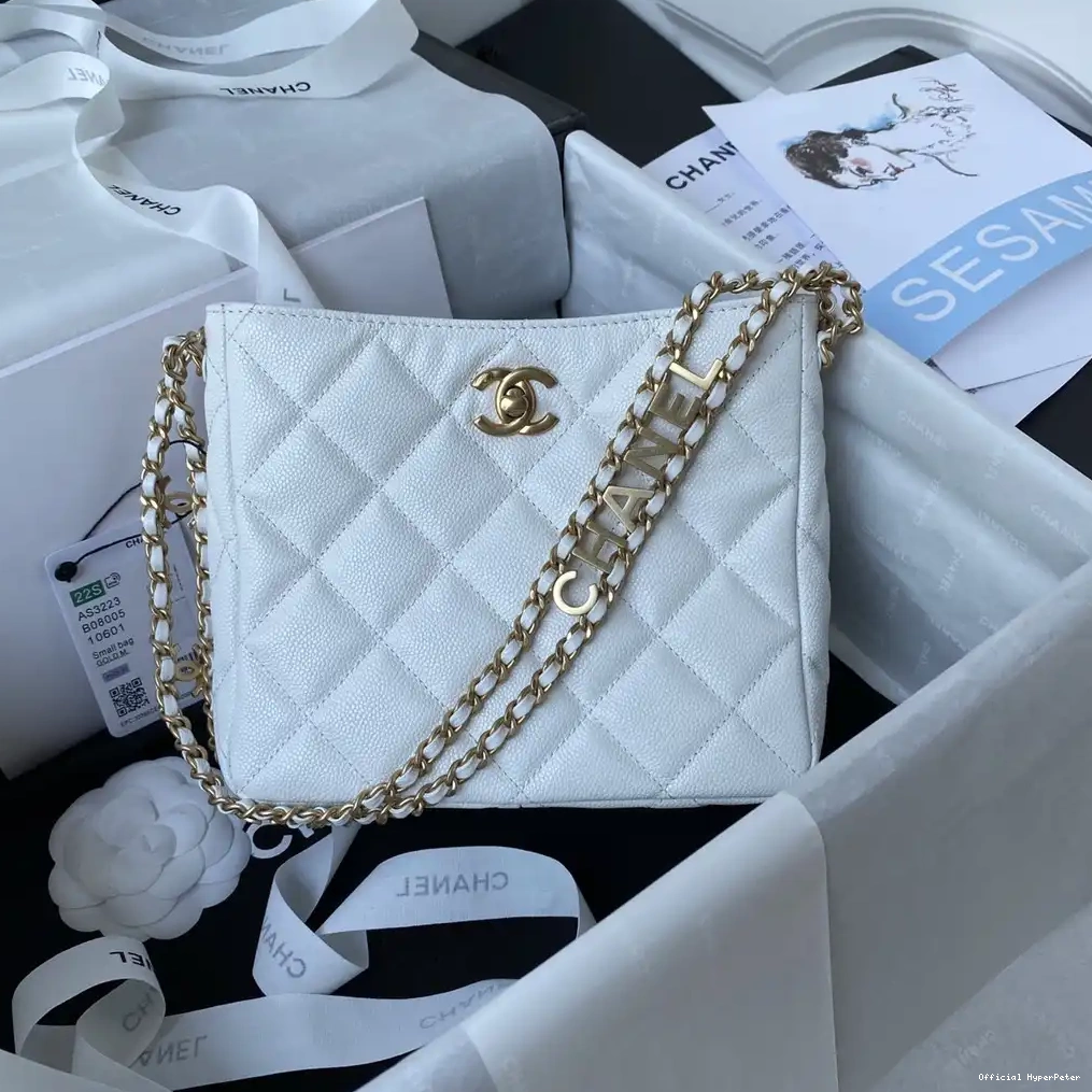 HyperPeter BAG SMALL HOBO CHANEL 0608